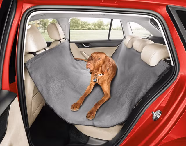 Xe hơi Skoda có đai an toàn dành cho… chó ảnh 1