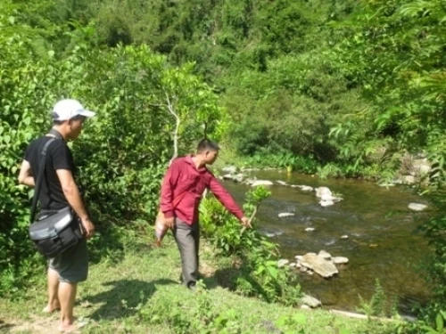 Hiện trường nơi bà Viêng Thị D. tử vong trong vụ thảm sát ở Nghệ An