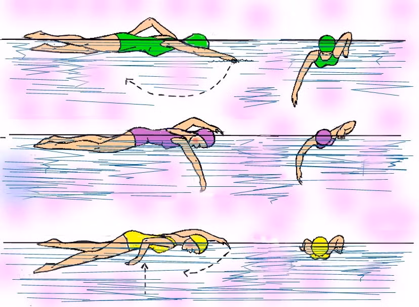 Người mới học bơi nên chọn cách bơi nào? - Ảnh 2