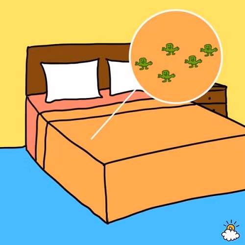 Ai mặc đồ ngủ quá 2 ngày sẽ "sởn gai ốc" khi biết những điều này - 1