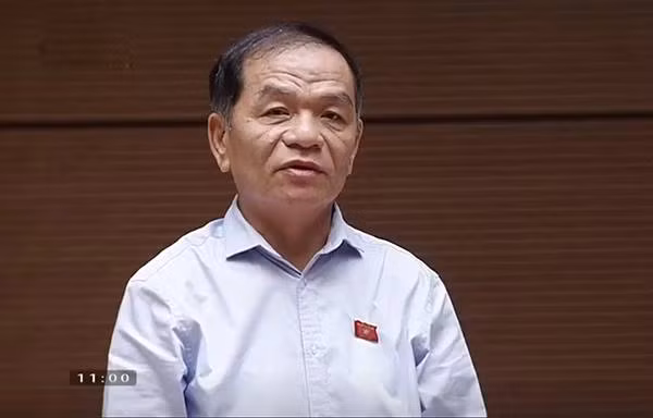 Đại biêu Lê Thanh Vân chất vấn