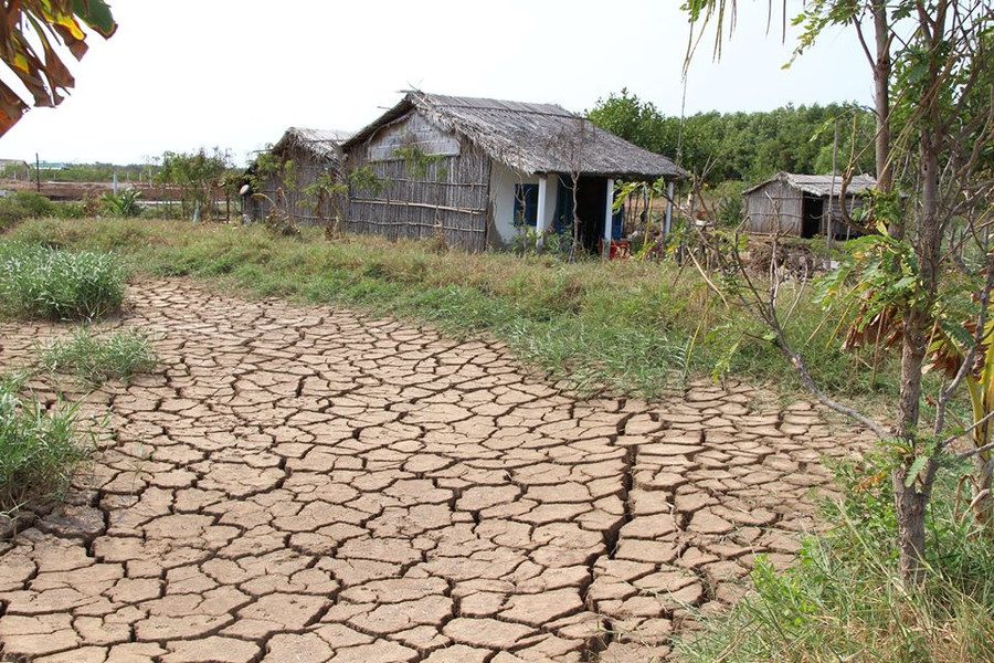 Cảnh khô hạn ở huyện Tân Phú Đông (Tiền Giang). Ảnh: X. Uyên.