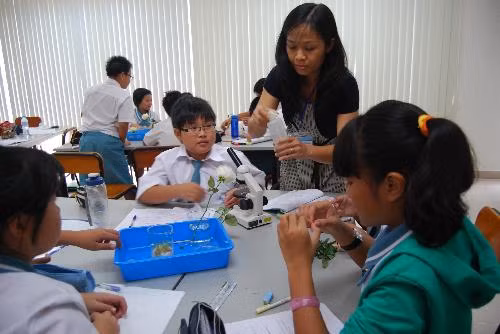 Dạy Sinh học hiệu quả với phương pháp thực hành quan sát