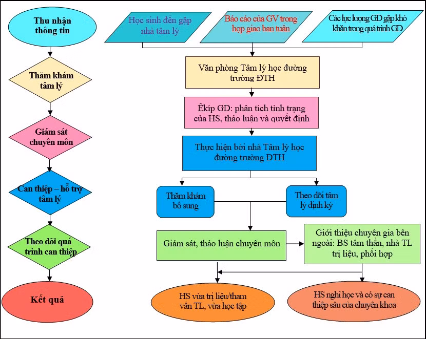 Quy trình tham vấn tâm lý học đường Trường THPT Đinh Tiên Hoàng