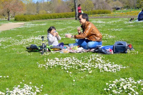 Bo tui 3 bi quyet cham con hay an chong lon cua me Viet o Tay - Anh 3