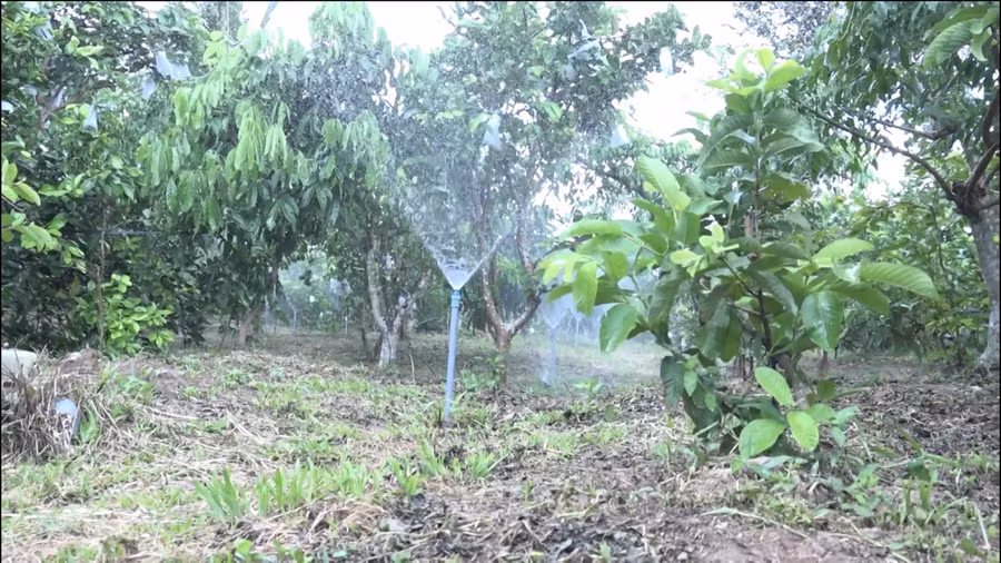 Hệ thống ống tưới thông minh được thiết kế “ẩn” dưới mặt đất, khi phun nước vòi này sẽ tự nâng lên và trở về vị trí cũ khi làm xong nhiệm vụ.