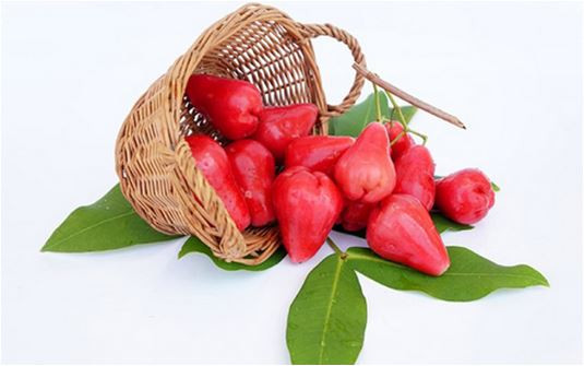 Bất ngờ với công dụng chữa bệnh thần kì của quả roi