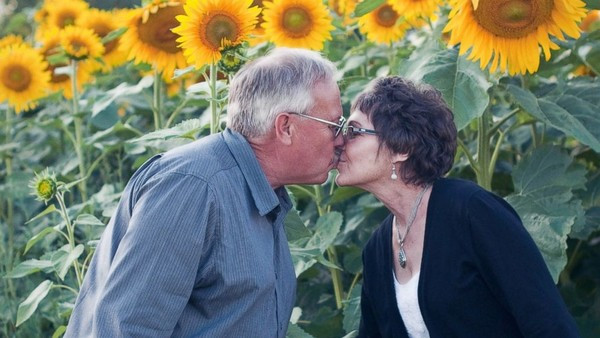 Tự tay trồng cả cánh đồng hoa hướng dương để tưởng nhớ vợ - Ảnh 1 Tự tay trồng cả cánh đồng hoa hướng dương để tưởng nhớ vợ - Ảnh 1