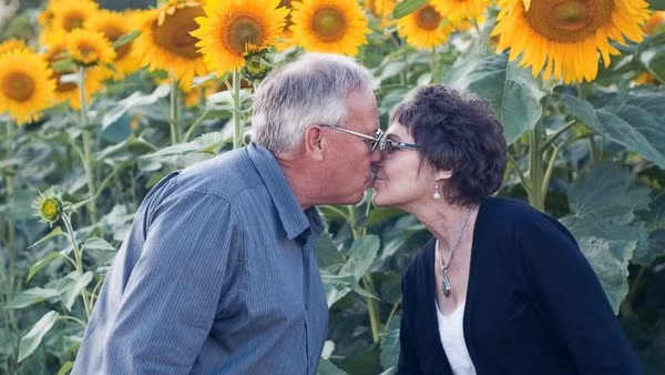 Tự tay trồng cả cánh đồng hoa hướng dương để tưởng nhớ vợ - Ảnh 1