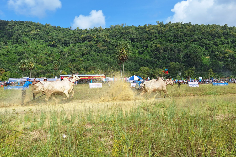Các vòng đua diễn ra hào hứng và sôi nổi. Các vòng đua diễn ra hào hứng và sôi nổi.
