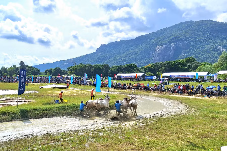 Tăng tốc về đích.