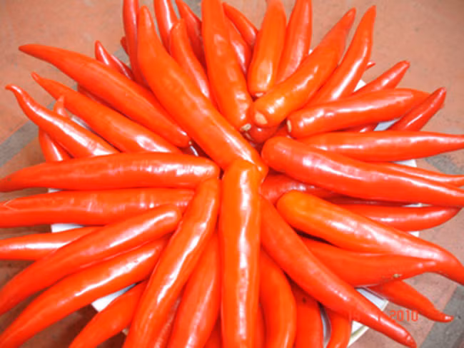 Cách làm tương ớt tại nhà, an toàn mà ngon tuyệt