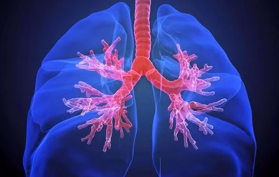 6 dấu hiệu khác lạ của móng tay tưởng đơn giản nhưng cực nguy hiểm ảnh 5