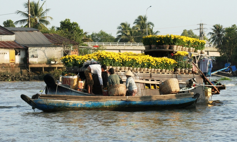 Những chuyến hoa Tết vội vã ngày cuối năm. Ảnh: Q. Ngữ.
