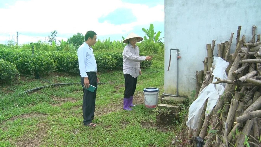 Chị Lý Thị Hương, Chủ tịch HĐQT-Giám Đốc HTX Chè Hương Việt là phụ nữ gương mẫu đi đầu phong trào thu gom rác thải nguy hại trên đồng ruộng tại xã Quyết Thắng, TP Thái Nguyên.