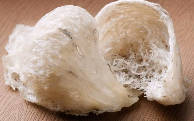 can canh to yen - mon an sieu dat do hinh 14