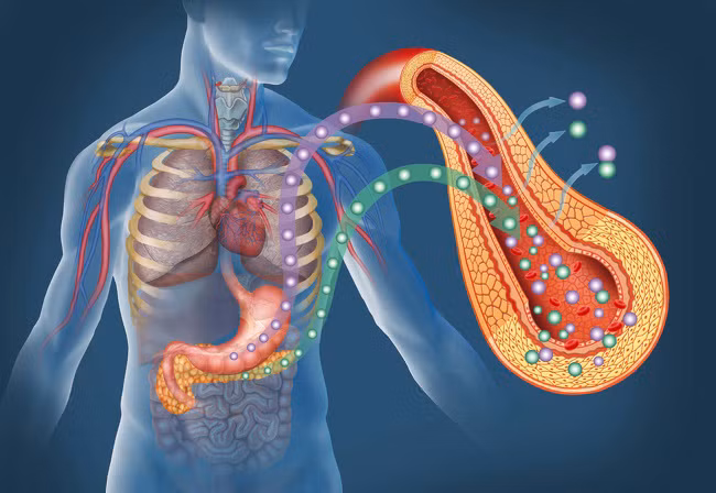10 điều kỳ diệu xảy ra với cơ thể khi bạn đi bộ mỗi ngày bắt đầu từ hôm nay