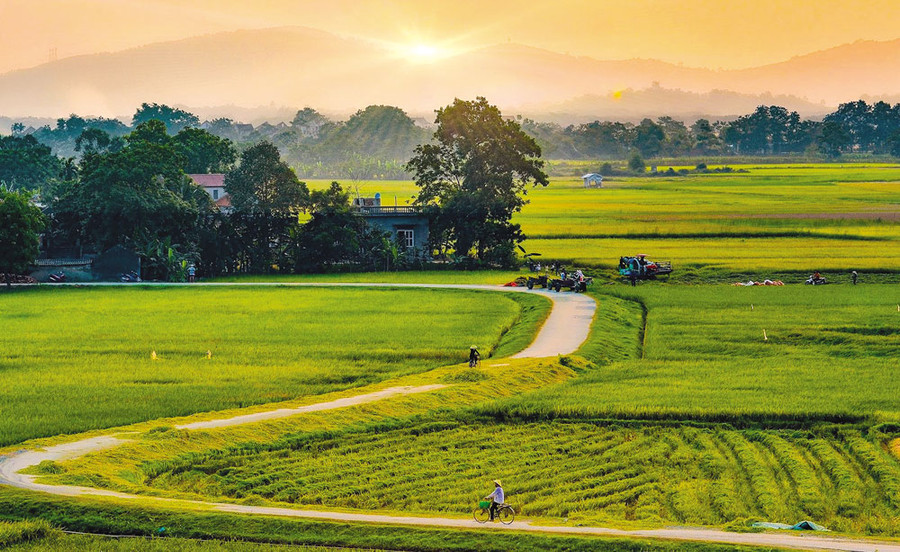 Ảnh minh họa: INT