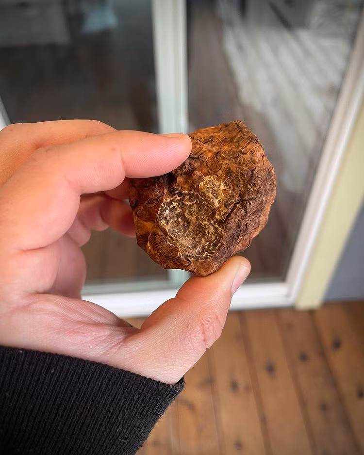 Những nguyên liệu làm đẹp đắt nhất thế giới ảnh 10