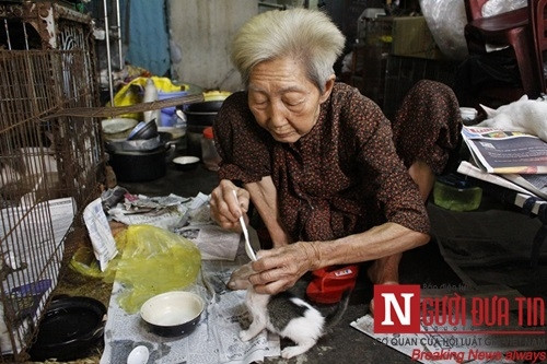 Xót thương cụ bà 90 tuổi ‘sức cùn lực kiệt’ bên bầy chó mèo hoang - Ảnh 1 Xót thương cụ bà 90 tuổi ‘sức cùn lực kiệt’ bên bầy chó mèo hoang - Ảnh 1
