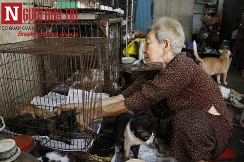 Xót thương cụ bà 90 tuổi ‘sức cùn lực kiệt’ bên bầy chó mèo hoang - Ảnh 4 Xót thương cụ bà 90 tuổi ‘sức cùn lực kiệt’ bên bầy chó mèo hoang - Ảnh 4