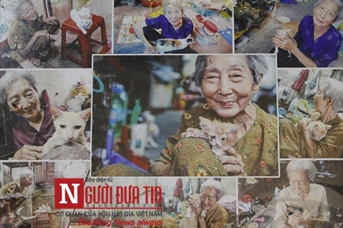 Xót thương cụ bà 90 tuổi ‘sức cùn lực kiệt’ bên bầy chó mèo hoang - Ảnh 6 Xót thương cụ bà 90 tuổi ‘sức cùn lực kiệt’ bên bầy chó mèo hoang - Ảnh 6