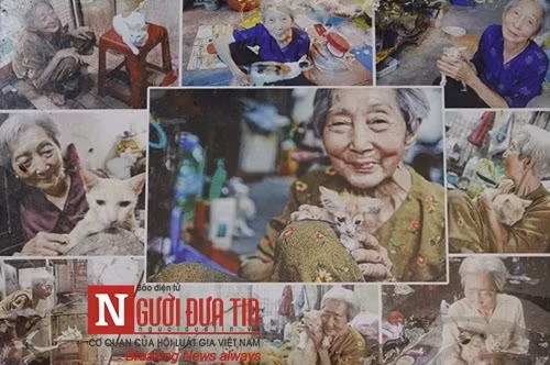 Xót thương cụ bà 90 tuổi ‘sức cùn lực kiệt’ bên bầy chó mèo hoang - Ảnh 6