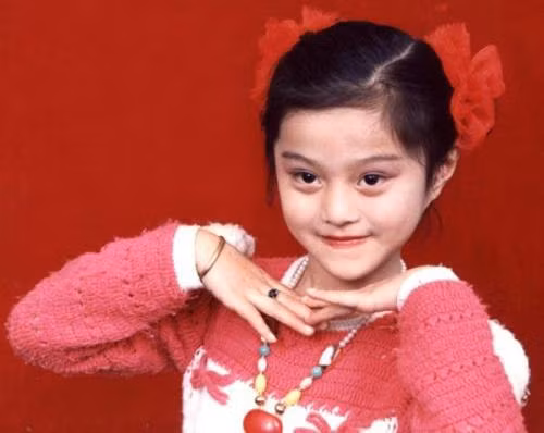 Phạm Băng Băng và hình phạt 