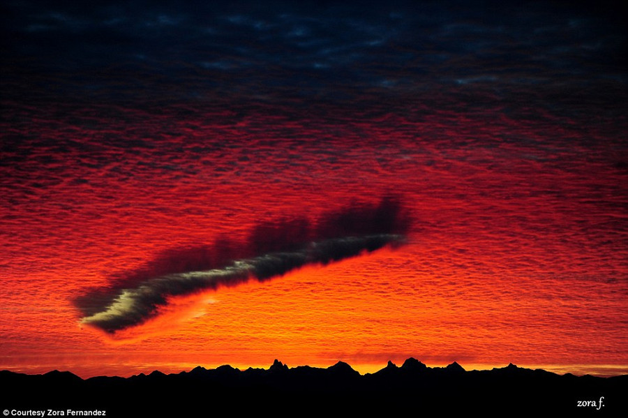 Hiện tượng này khiến cho nhiều người dân thích thú Hiện tượng này khiến cho nhiều người dân thích thú