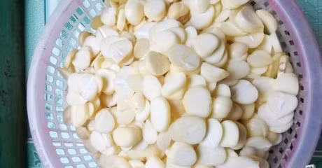 Cach ngam ruou toi tri bach benh cho suc khoe mua thu dong - Anh 2