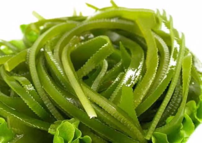 Tảo bẹ là thực phẩm vàng cho những người huyết áp cao