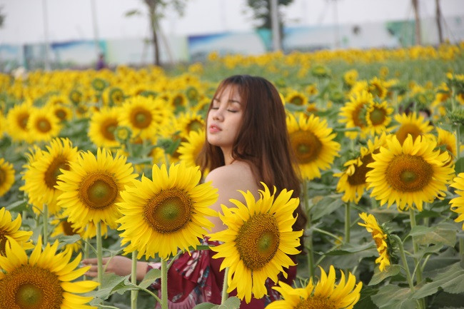 Một bạn trẻ "phiêu" với bạt ngàn bông hoa rực rỡ.