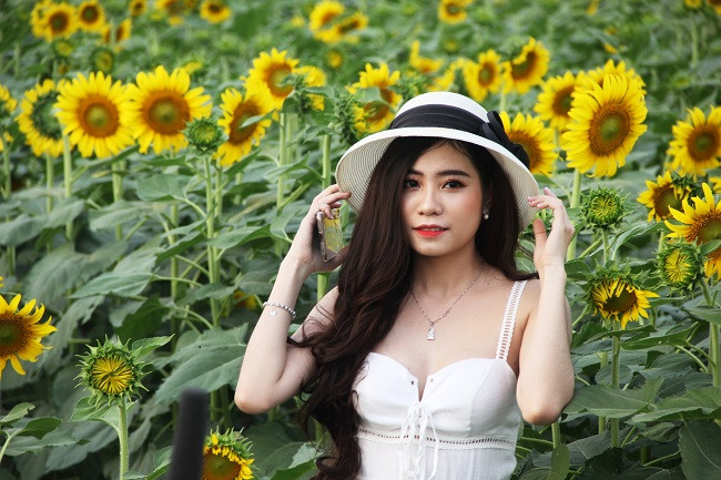 Các bạn trẻ cho biết, ngay tại phố có rừng hoa lớn như vậy cảm giác như đang ở Đà Lạt.