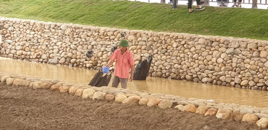 Từng chiếc cọc tại bãi Cao Quỳ được bảo tồn trong nhà vòm, có công nhân chăm sóc