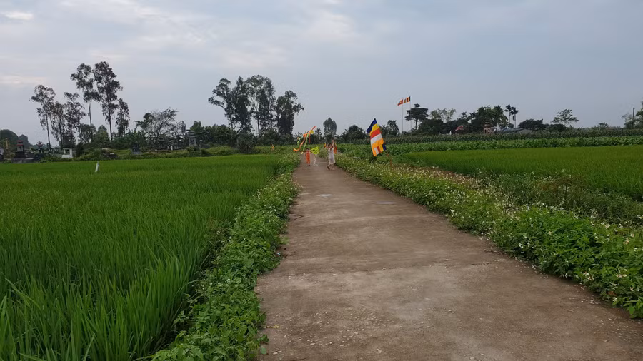 Chính sách giảm nghèo bền vững song hành cùng chương trình nông thôn mới khiến diện mạo nông thôn tại Hải Phòng thêm khởi sắc