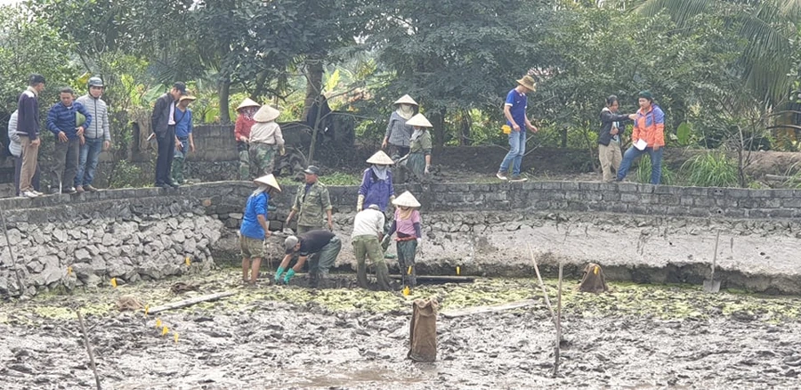 Hải Phòng: Khai quật 13 cọc gỗ ở “cánh đồng chân cọc” nghi liên quan đến chiến trận Bạch Đằng