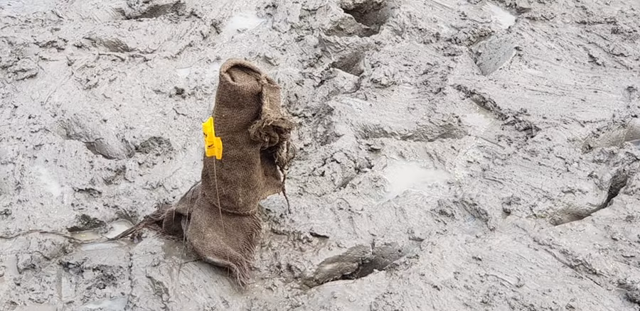 Cọc được che đậy bảo vệ khỏi tác động của ánh nắng mặt trời Cọc được che đậy bảo vệ khỏi tác động của ánh nắng mặt trời