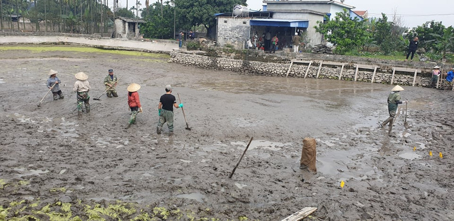 Người dân địa phương được huy động gạt bùn phục vụ công tác khai quật cọc