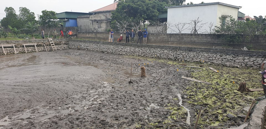 13 chiếc cọc nằm trong 400m2 ao nuôi thủy sản nhà ông Đến