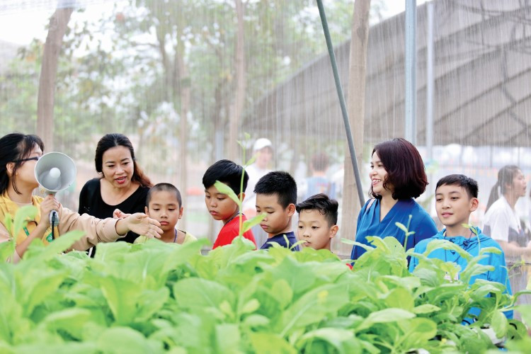 “Vườn rau em chăm” ý tưởng của cô Mai đã trở thành hiện thực