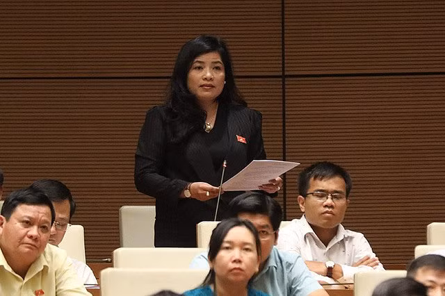 Đại biểu Đàng Thị Mỹ Hương