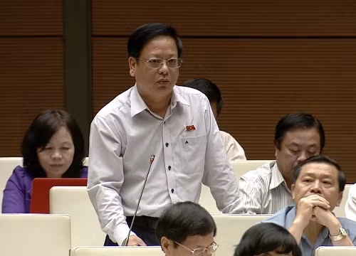 Đại biểu Nguyễn Trường Giang