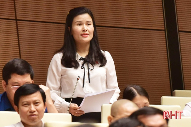 Đại biểu Quốc hội Bùi Thị Quỳnh Thơ Đại biểu Quốc hội Bùi Thị Quỳnh Thơ