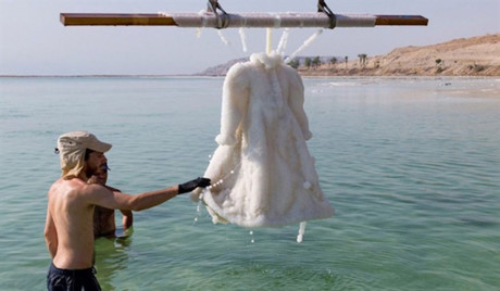 [Anh]: Chuyen la bon phuong - Anh 1