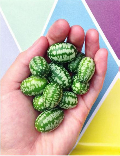 [Anh]: Chuyen la bon phuong - Anh 2