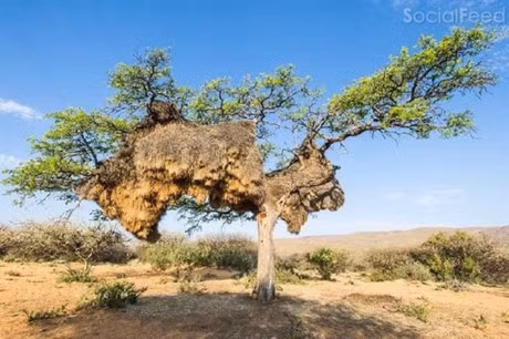 [Anh]: Chuyen la bon phuong - Anh 4