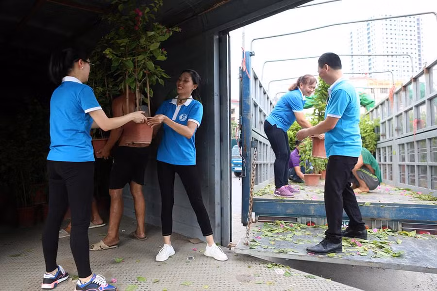 Tuổi trẻ cả nước chung tay gửi cây xanh và cờ Tổ quốc ra Trường Sa thân yêu.