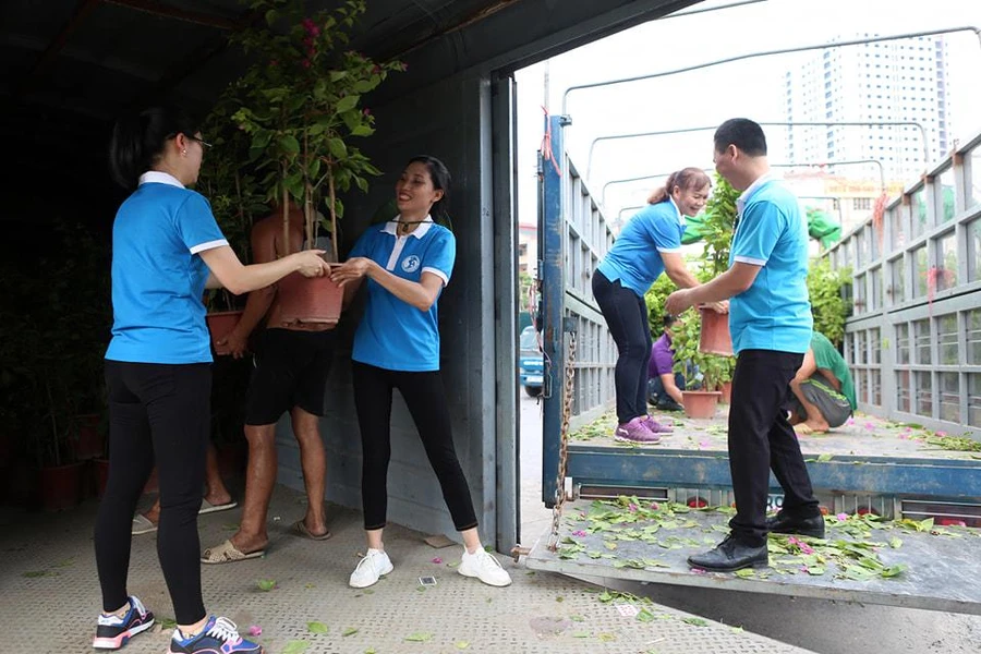 Tuổi trẻ cả nước chung tay gửi cây xanh và cờ Tổ quốc ra Trường Sa thân yêu.