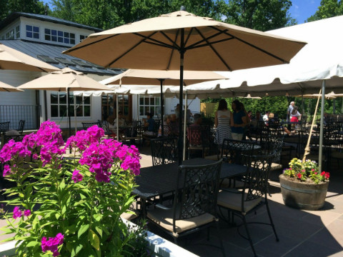 Vào năm 1995, ông mua khu đất rộng 86 hectar ở Bedford, New York với tên gọi Seven Springs. 