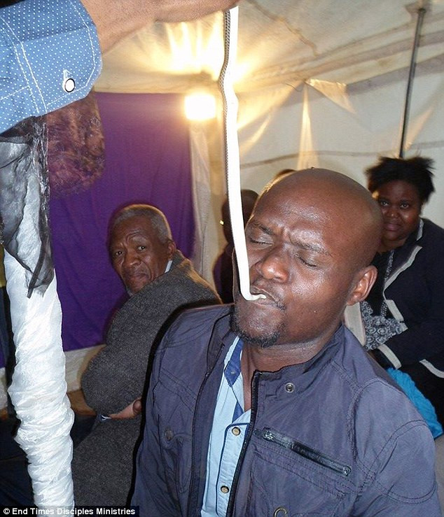 Kinh hoàng: Nuốt rắn chứng tỏ lòng tin ảnh 1 Kinh hoàng: Nuốt rắn chứng tỏ lòng tin ảnh 1